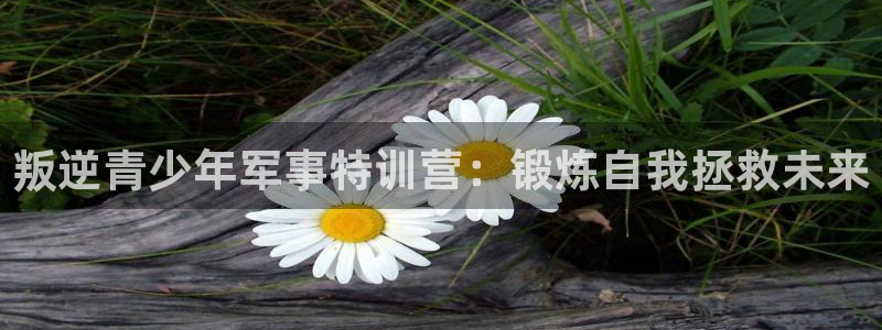 龙8国际官网