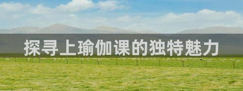 龙8国际网址多少