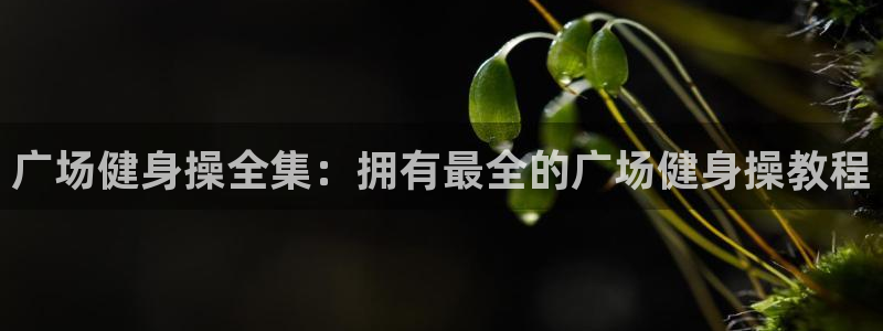 龙8国际手机版注册