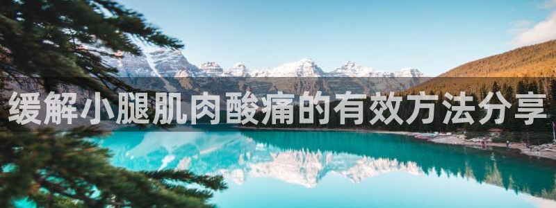 龙8国际头号玩家下载