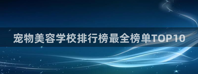 龙8国际的漏洞