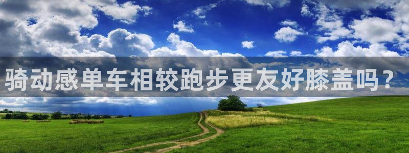 龙8官网国际
