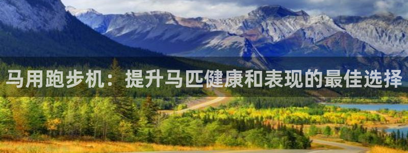 龙8国际手机版app