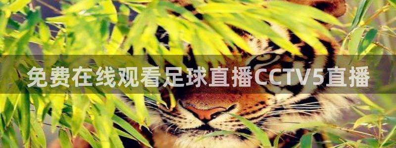 龙八国际下载链接