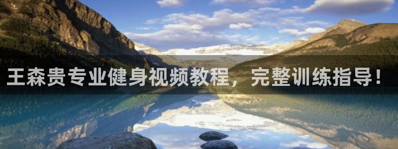 龙8国际平台