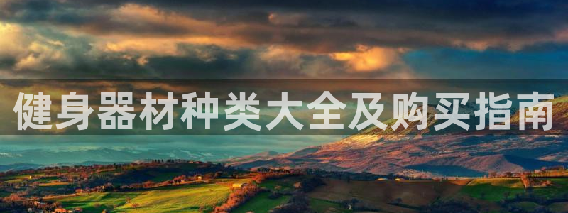 龙8老虎机手机版