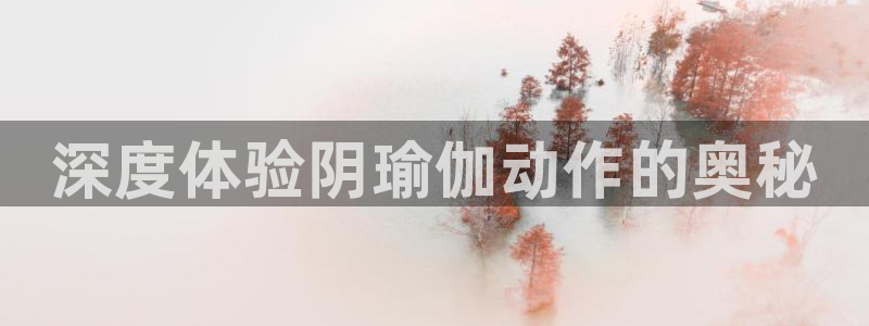 龙8官网游戏