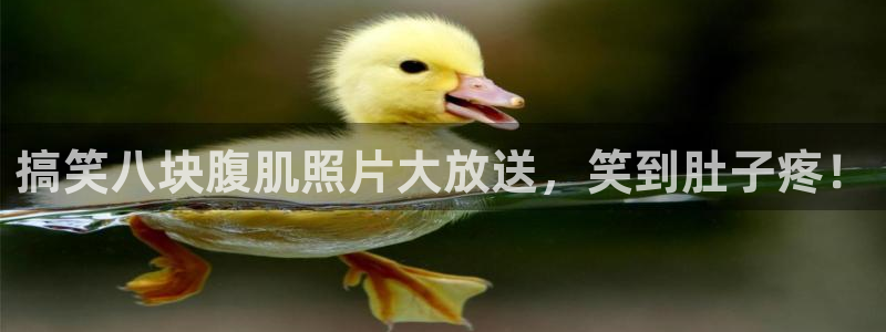 龙8国际官方网站-龙8国际pt老虎机