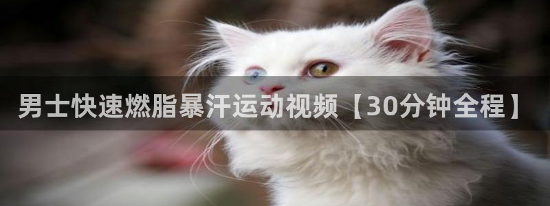 龙8国际.com
