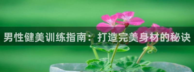 龙8国际老虎机官方