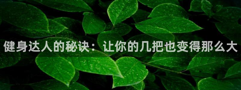 龙八国际下载官网平台