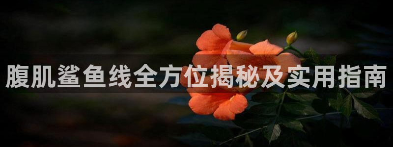 龙8国际棋牌