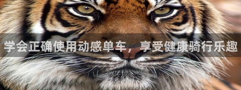 龙8国际版