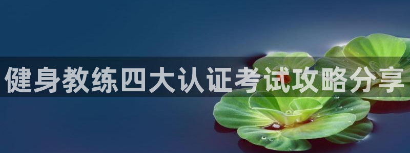 国际龙8官网pt客户端