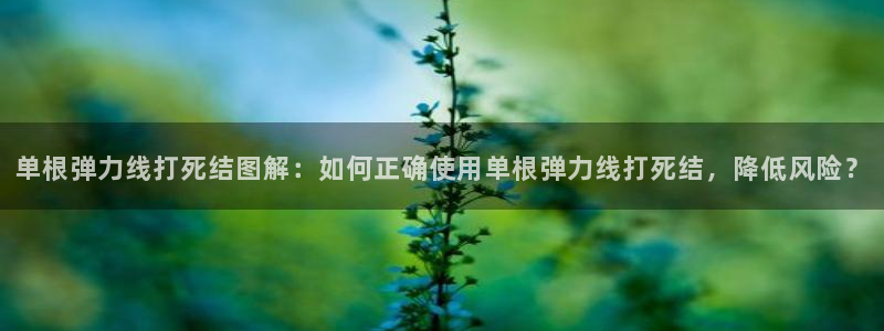 龙8游戏客户端