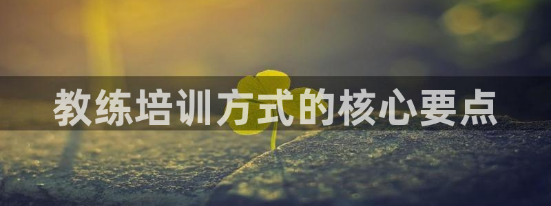 国际龙8下载