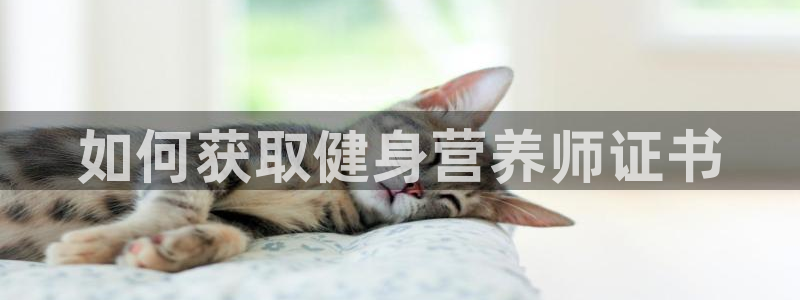 龙8国际官网版