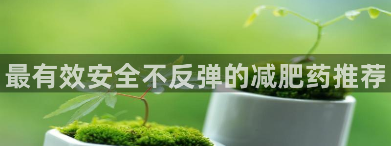 龙8官网国际