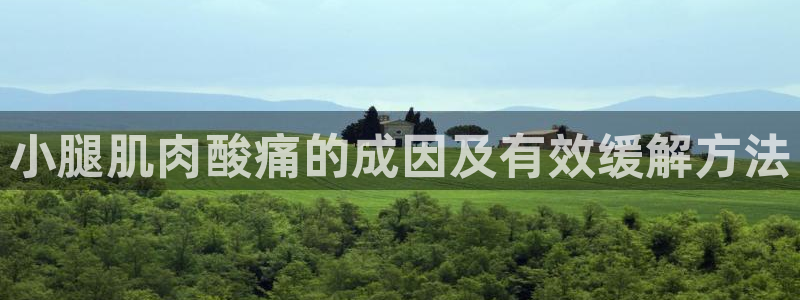 龙8国际网址