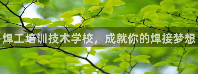 龙8国际真钱
