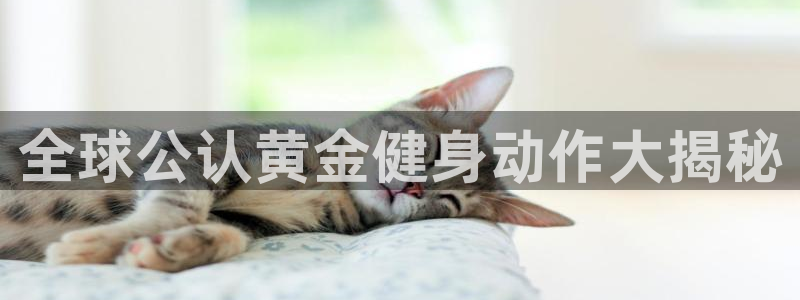 龙八国际娱