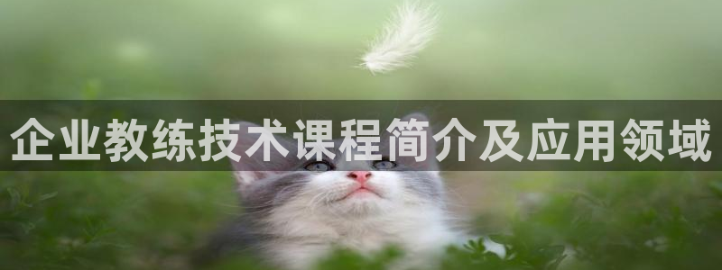 龙 八国际