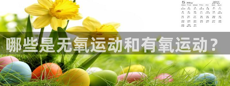 龙8国际long88