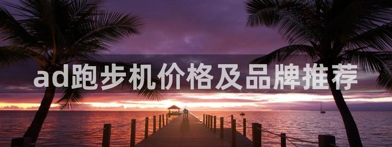 龙8国际城