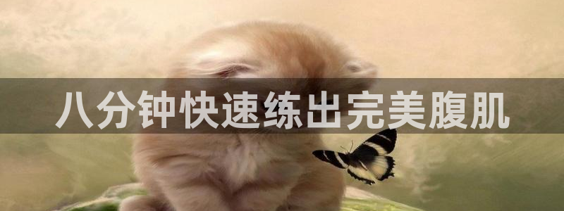 龙8官网国际