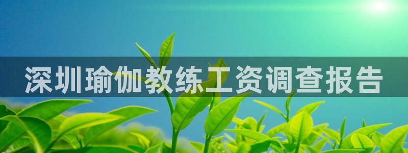 龙8国际pt