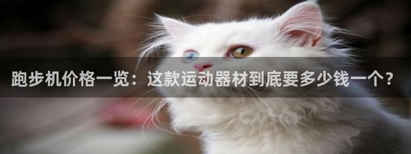 龙8游戏平台官方