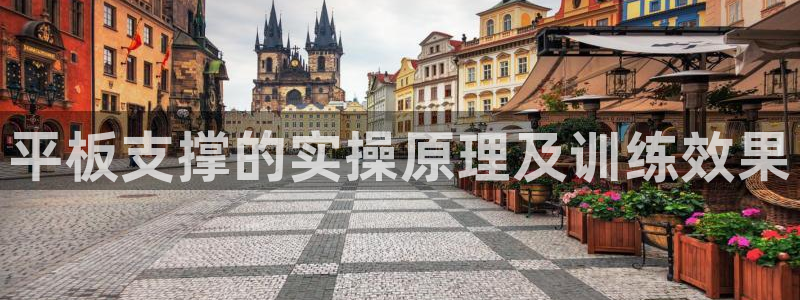 龙8国际网页登陆