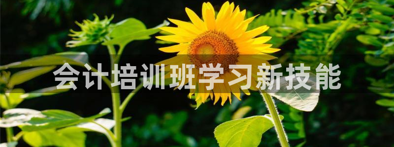 龙8国际龙8客户端