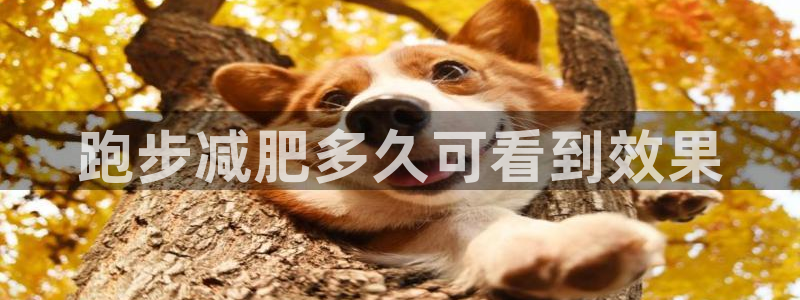 龙8国际官方网址下载