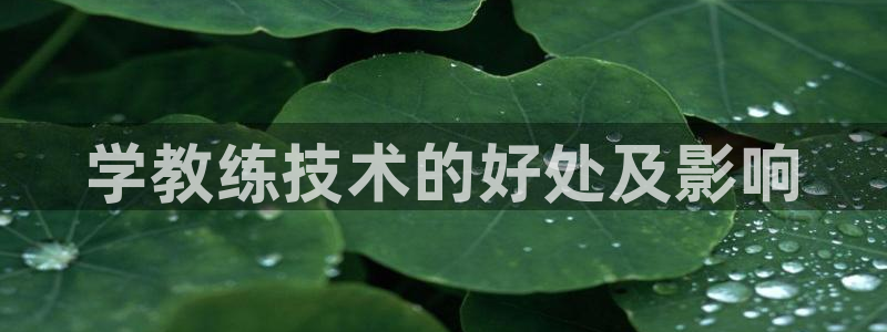 龙八国际服官网站