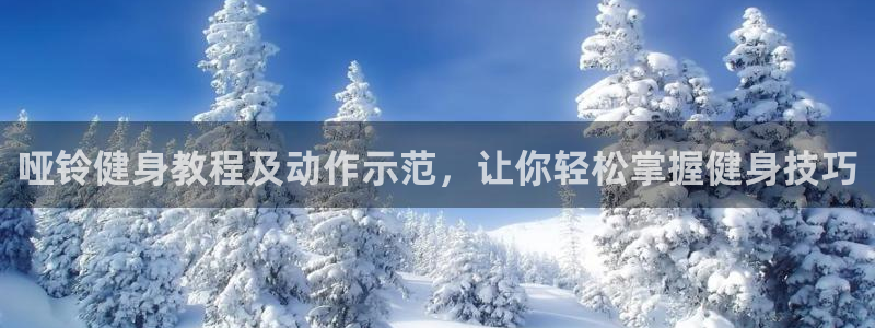 龙8国际服