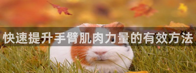 龙8国际手机版app