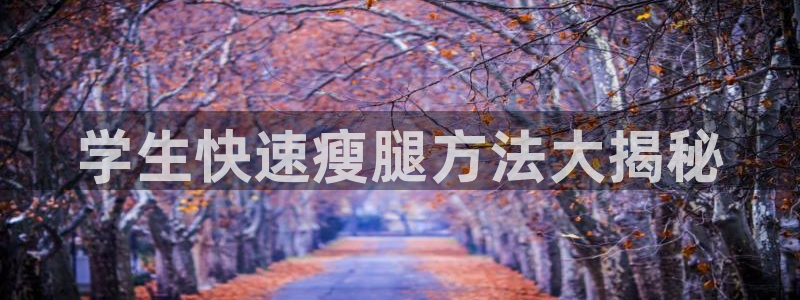 龙8国际平台输了多少