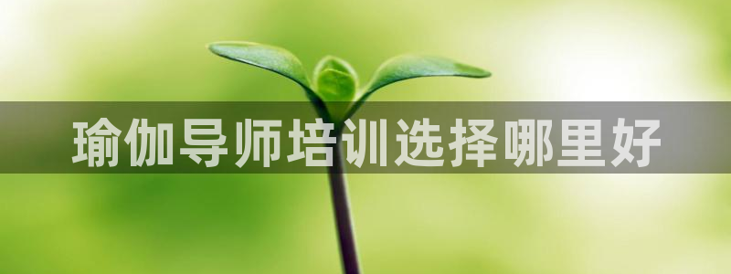 龙8国际官网 点此进入