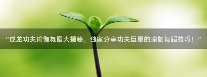 龙八国际网页