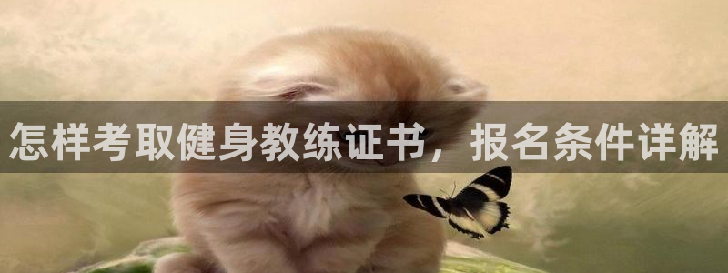 龙8国际app官网下载