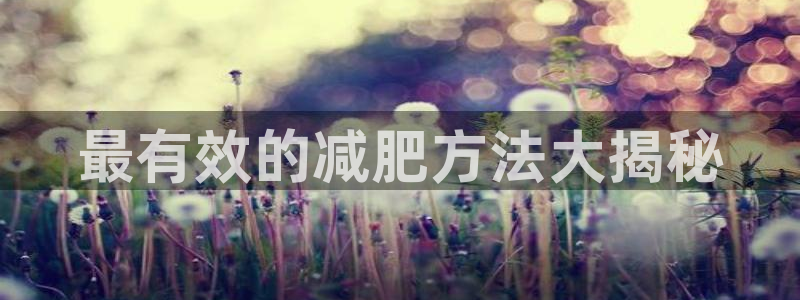 龙8国际手机网页版