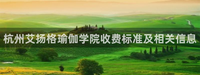 国际龙8官方网站