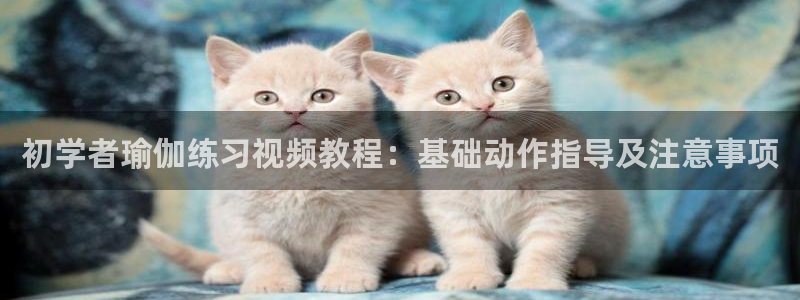 龙八国际官方网