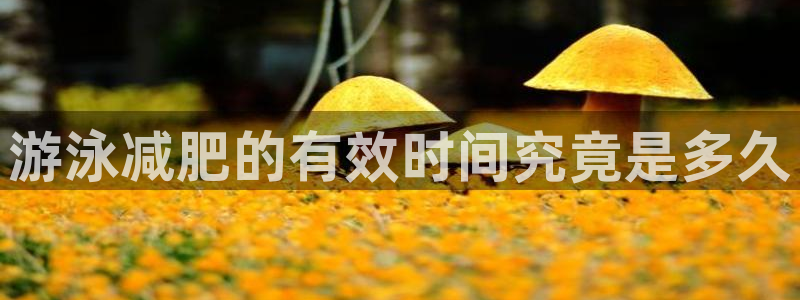 龙8国际网站