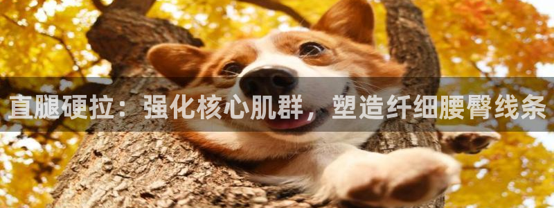 龙8国际官方下载