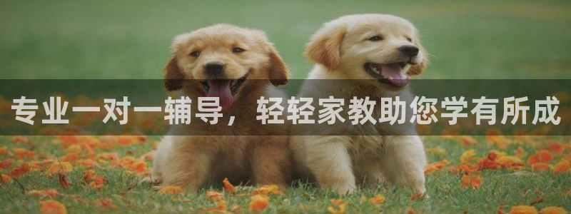 龙8国际唯一