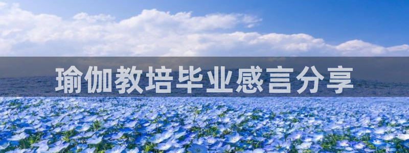 龙8娱乐国际城