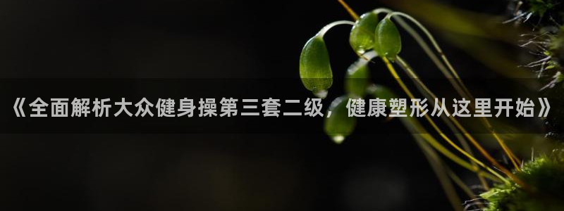 龙8国际被侦破了吗