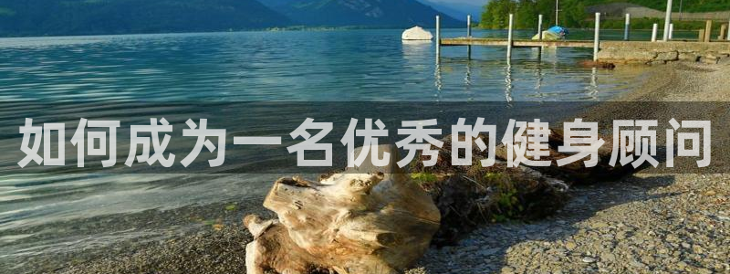 龙8国际平台